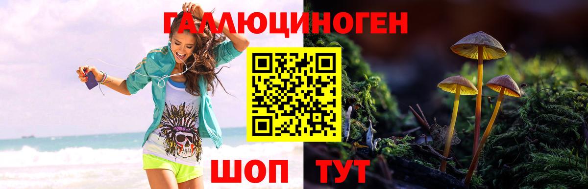 Галлюциногенные грибы Magic Shrooms  Вход с VPN  дарнет шоп  Ефремов  Галлюциногенные грибы Magic Shrooms 